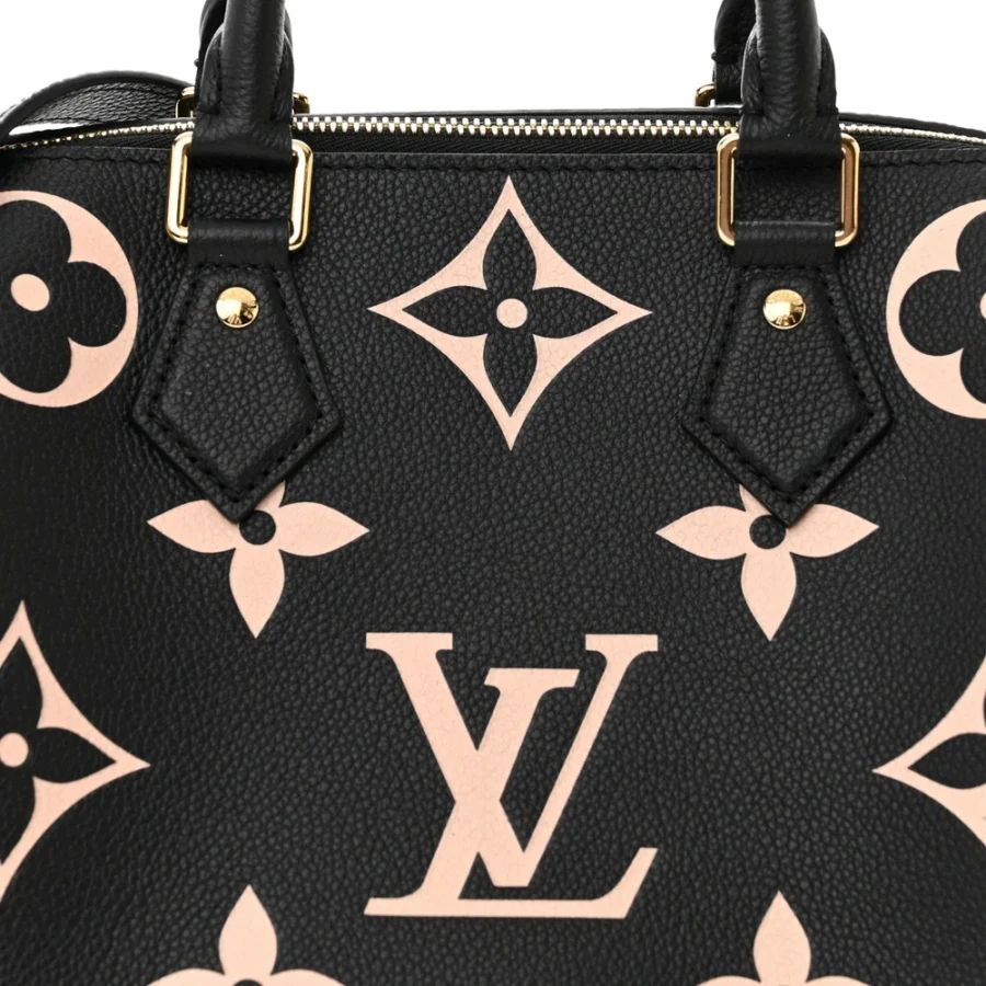 Empreinte Monogram Giant Speedy Bandouliere 25 in Black and Beige - Image 5