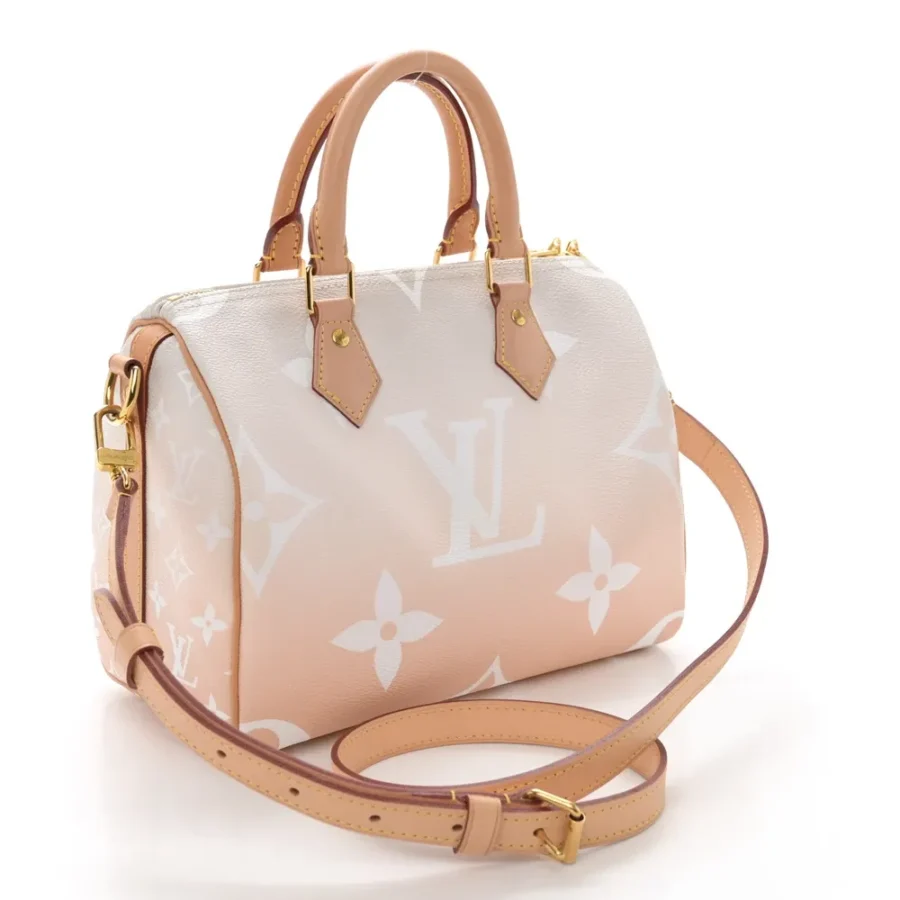 Superfake Louis Vuitton By the Pool Speedy Bandouliere 25 Bag - Image 8