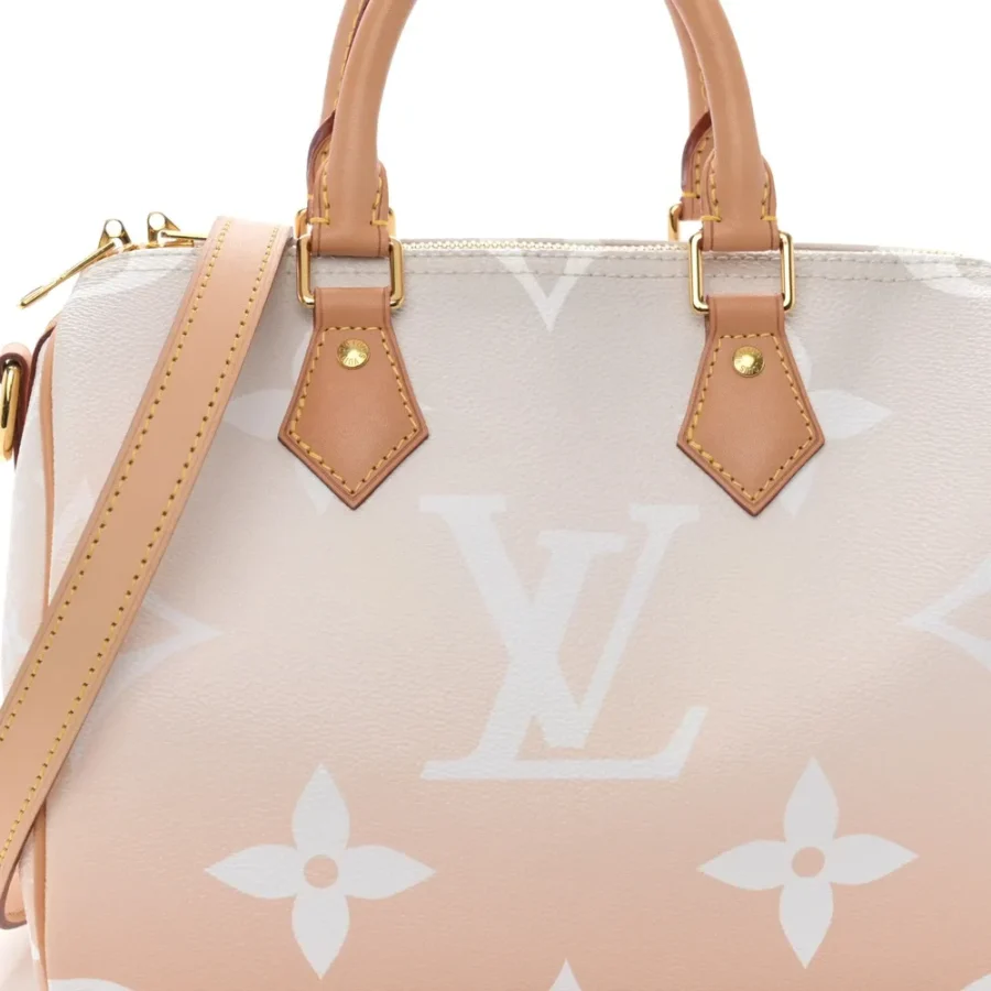 Superfake Louis Vuitton By the Pool Speedy Bandouliere 25 Bag - Image 6