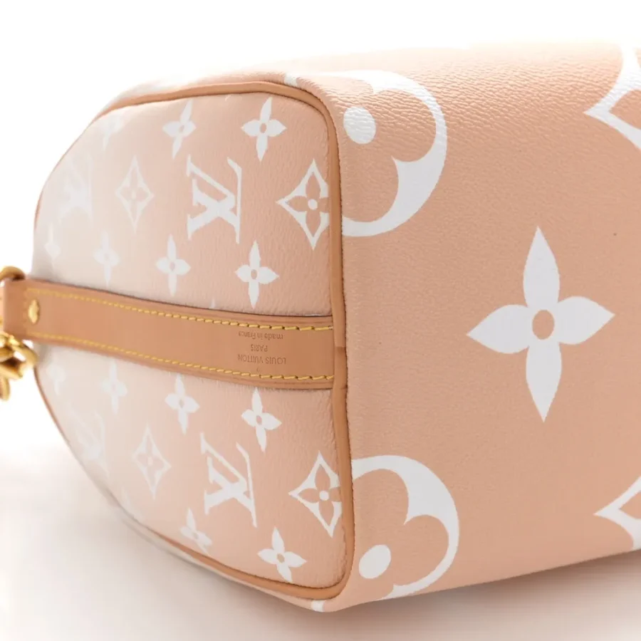 Superfake Louis Vuitton By the Pool Speedy Bandouliere 25 Bag - Image 3