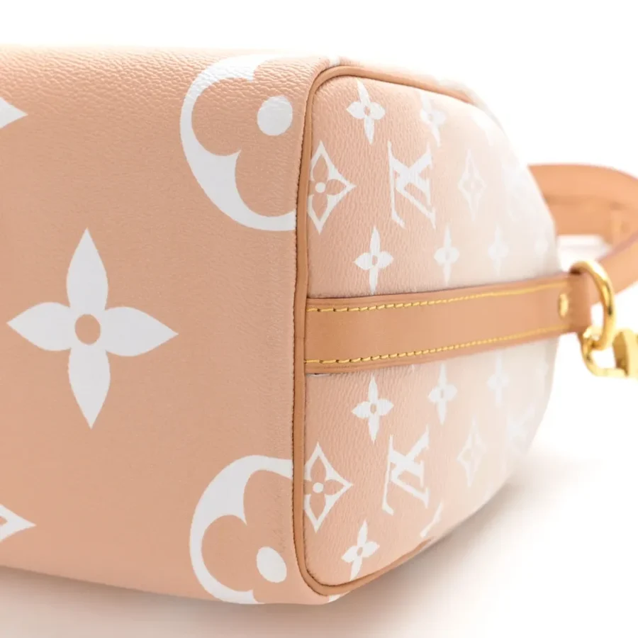 Superfake Louis Vuitton By the Pool Speedy Bandouliere 25 Bag - Image 2