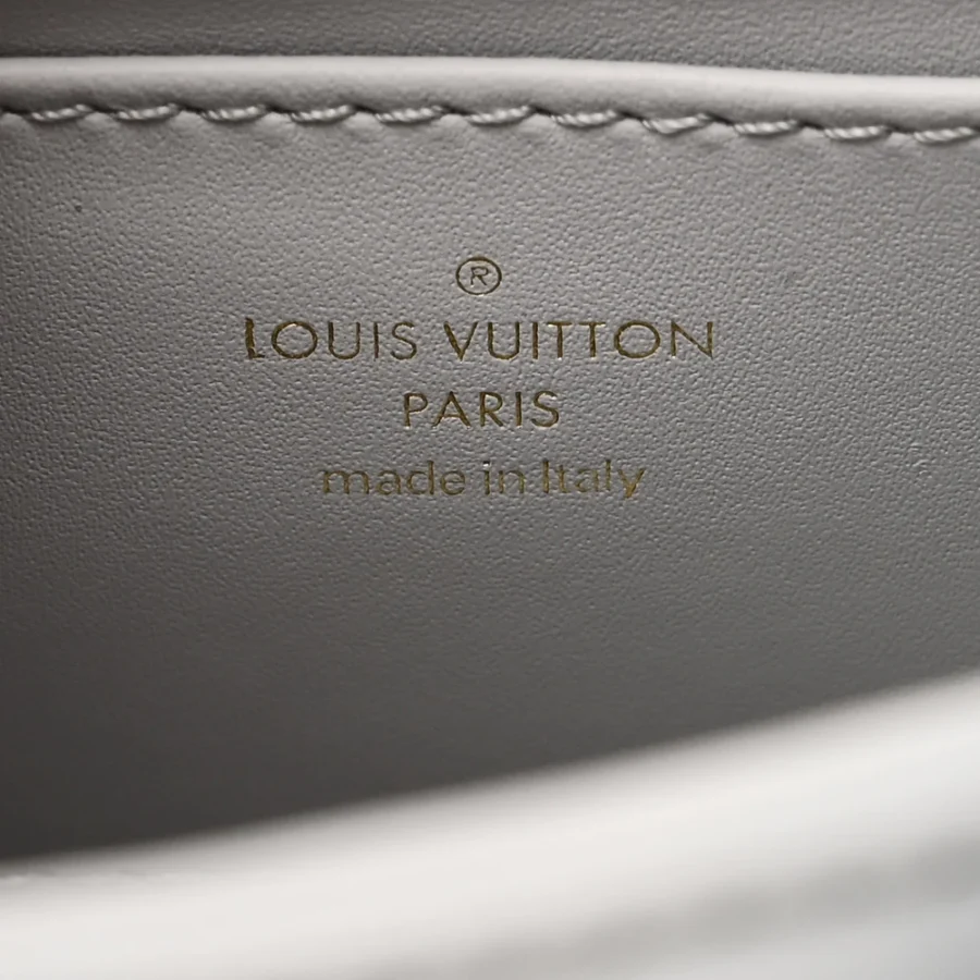 Louis Vuitton Ecume Grey 14 MM Leather Replica Handbags - Image 4