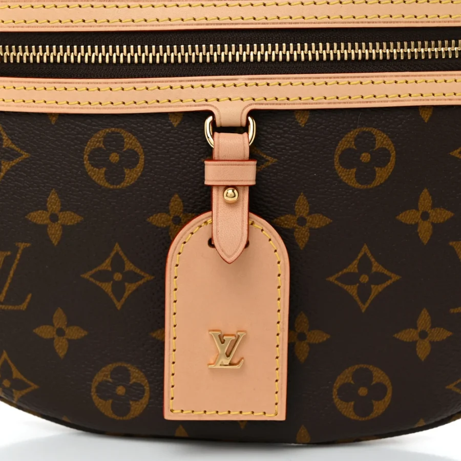 Mirror Quality Replica Louis Vuitton Bumbag with Gold Hardware - Image 5