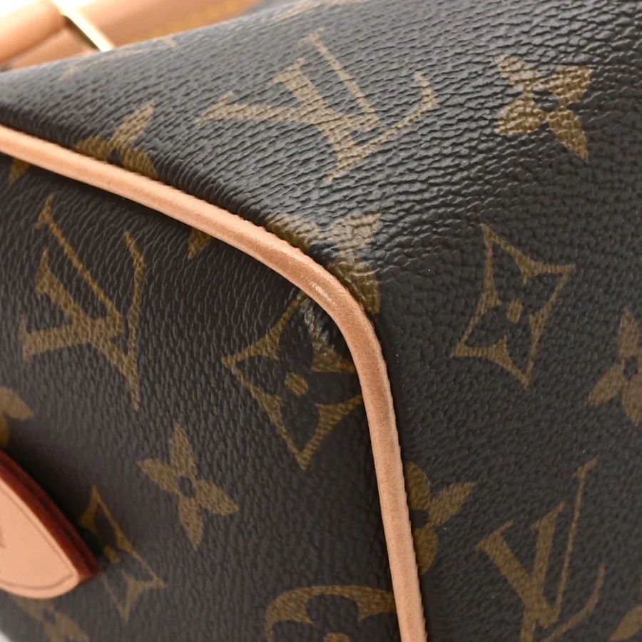 Mirror Quality Louis Vuitton Speedy 20 Replica Handbags - Image 3