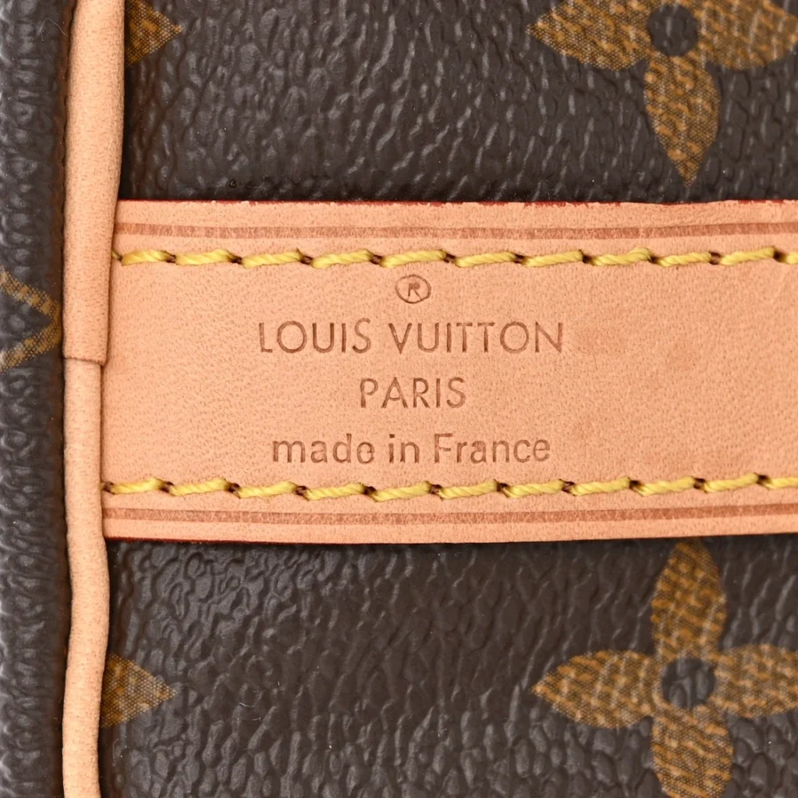 Replica Louis Vuitton Handbags with Gold Hardware – Mirror Quality - Image 4