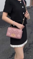 Model carrying the Rose des Vents calfskin D!0r Mini Caro Bag with gold chain strap