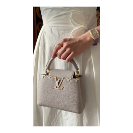 Lou!S Vuiton Capucines Mini Galet Taupe Mirror Quality Handbag